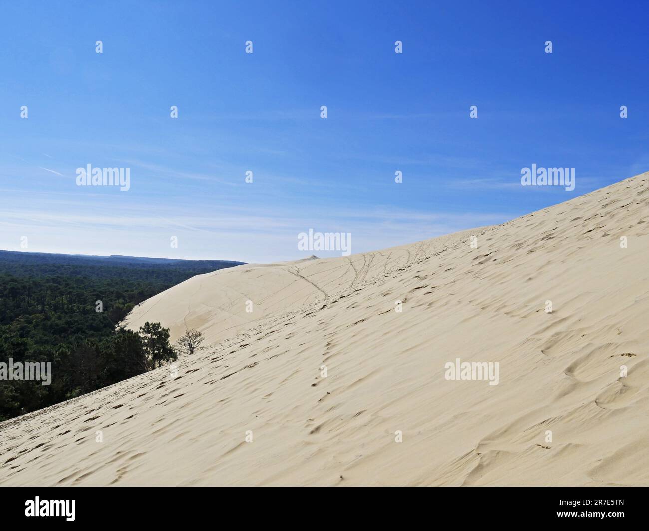 La dune de Pilat ou la dune de Pyla, au bord de la forêt des Landes de Gascogne sur la Côte d'argent, à l'entrée du bassin d'Arcachon, est la plus haute Banque D'Images
