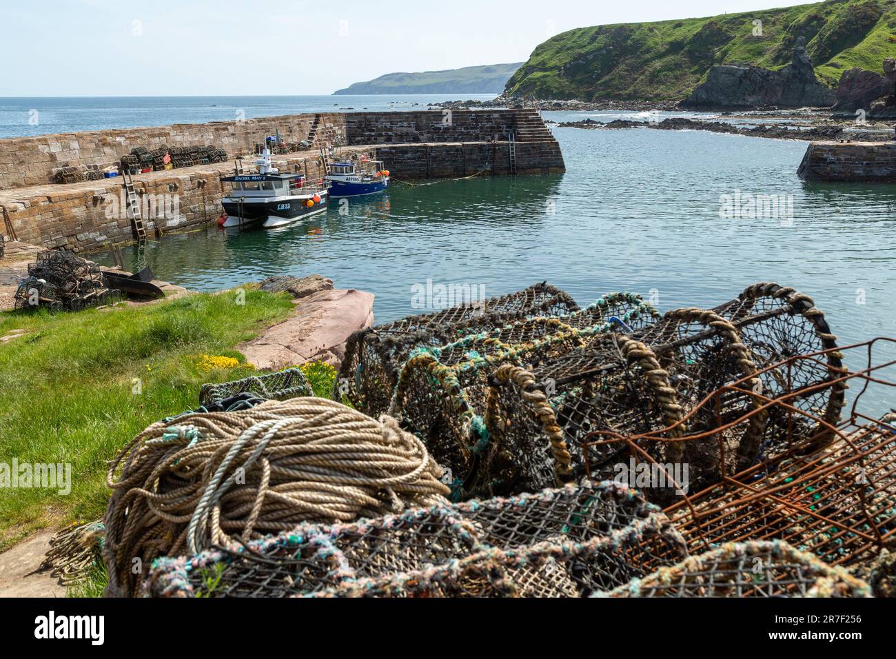 Cove Harbour est l'un des joyaux cachés de l'Écosse du Sud-est, les frontières écossaises Banque D'Images