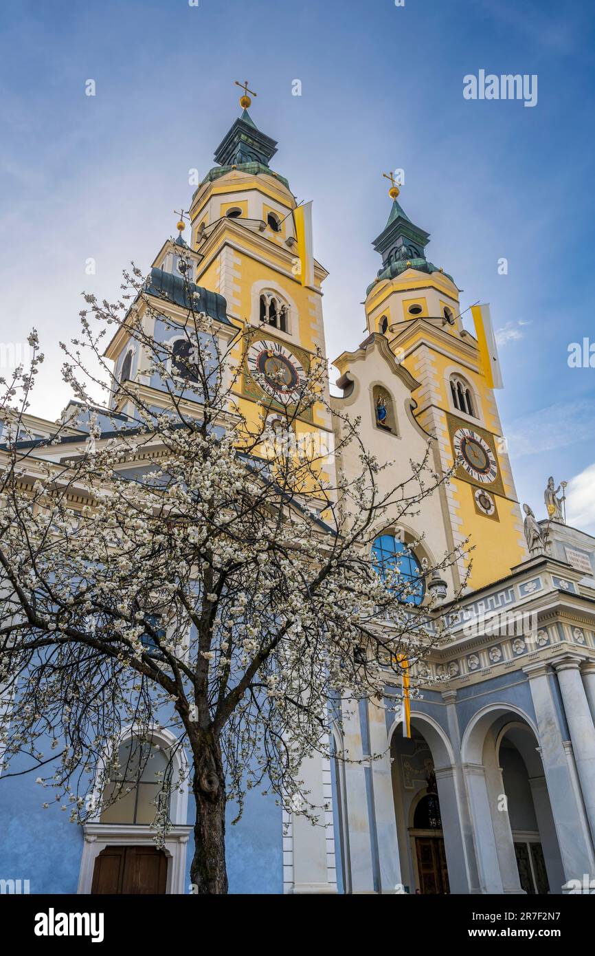 Cathédrale, Brixen-Bressanone, Trentin-Haut-Adige/Sudtirol, Italie Banque D'Images