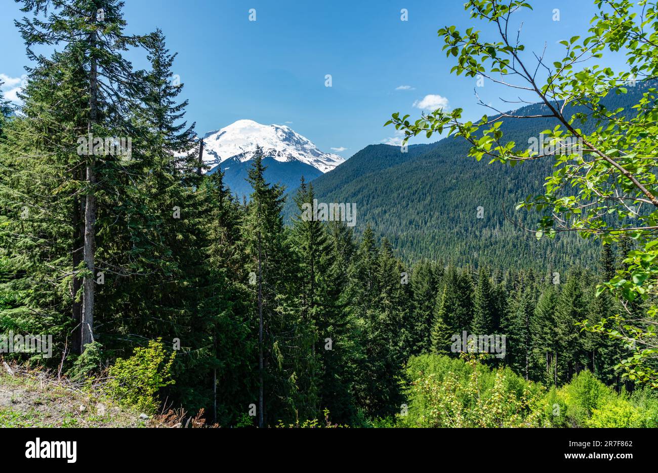 Vue sur le mont Rainier depuis l'autoroute 410 dans l'État de Washington. Banque D'Images