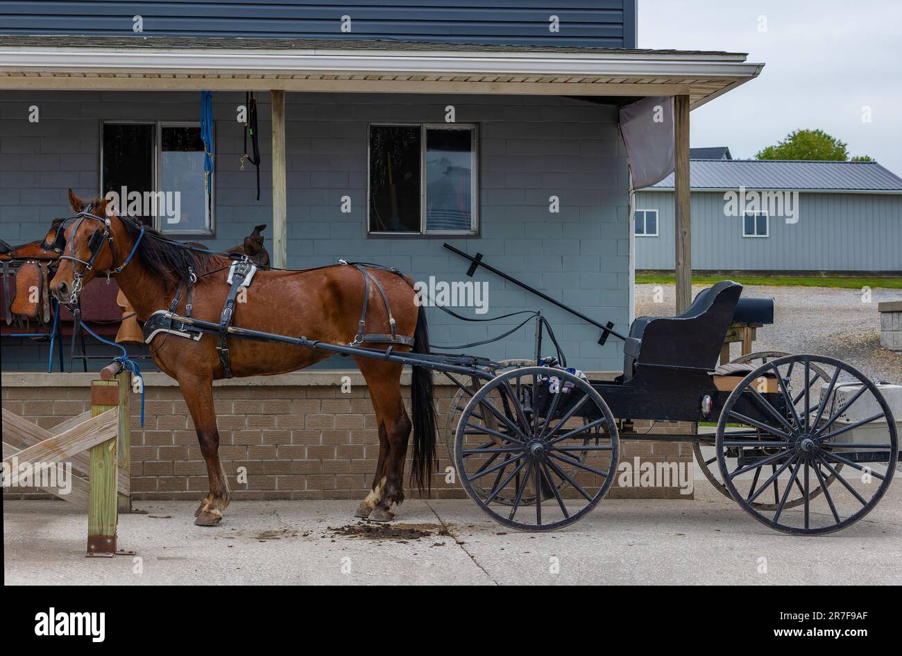 Le canton de New Bedford n'est pas constitué en société et où le moyen