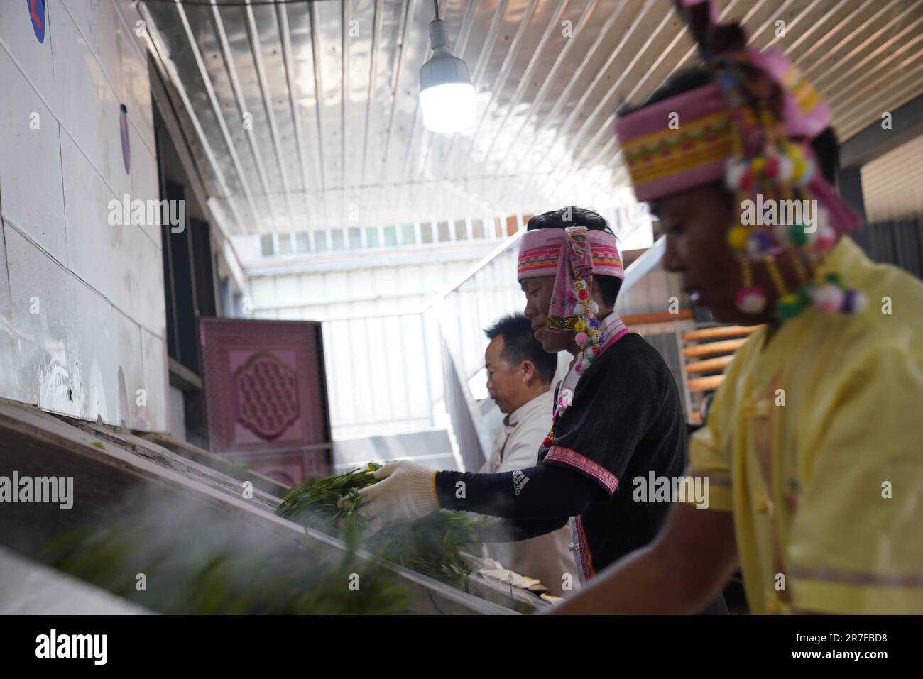 Xishuangbanna, province chinoise du Yunnan. 7th juin 2023. Les villageois font des feuilles de thé dans le village de l'ancien homme, dans le comté de Menghai, dans la province du Yunnan, au sud-ouest de la Chine, à 7 juin 2023. POUR ALLER AVEC "Feature: Tea-cultivant remodèle village ethnique sur la frontière Chine-Myanmar" crédit: Zhao Huan/Xinhua/Alay Live News Banque D'Images