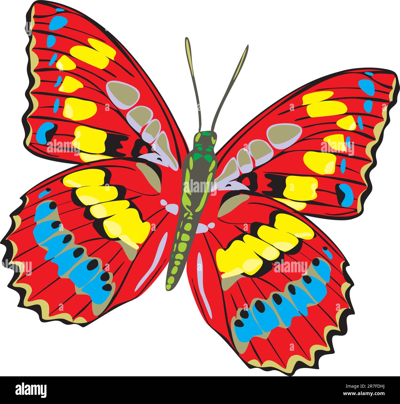 Le papillon avec de belles ailes Illustration de Vecteur