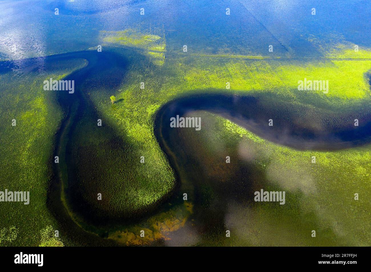Belle vue aérienne d'un petit lit de rivière sous l'eau sur le lac Cerknica, le plus grand lac intermittent, champs herbeux entourant le ruisseau, slovénie Banque D'Images