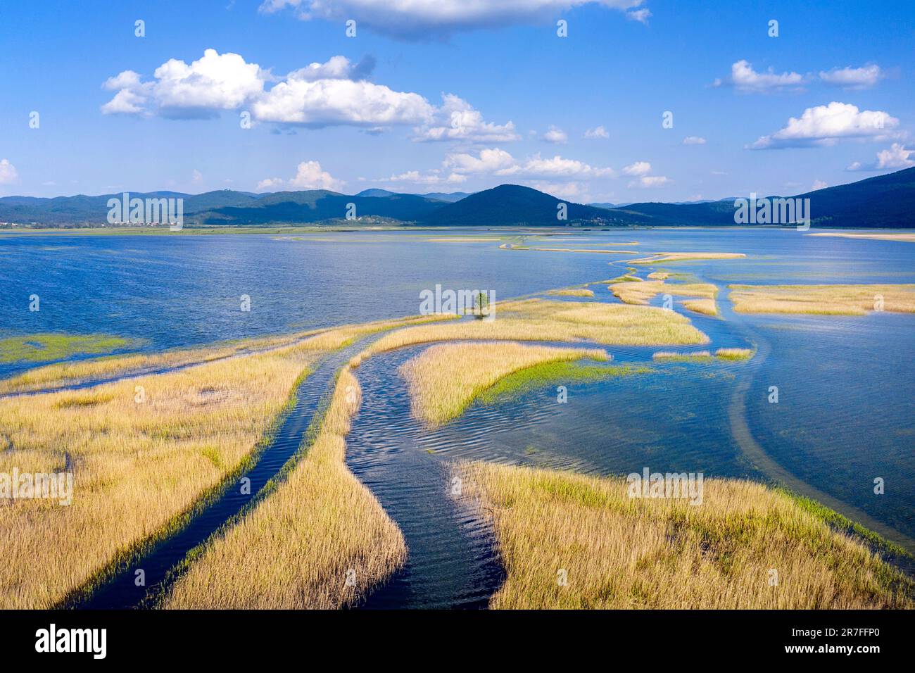 Vue aérienne spectaculaire sur le lac Cerknica et les parcelles d'herbe jaune, le plus grand lac intermittent de Slovénie et d'Europe centrale Banque D'Images