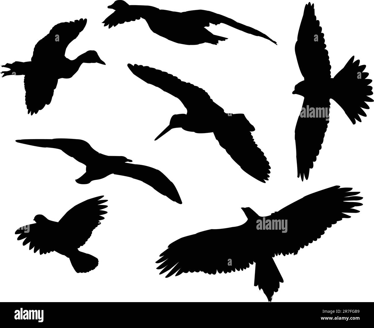 collection silhouettes d'oiseaux - vecteur Illustration de Vecteur