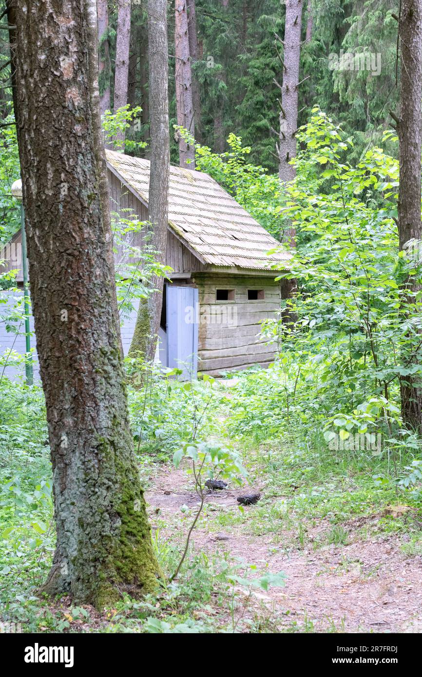 photo d'une petite maison dans les bois au loin Banque D'Images