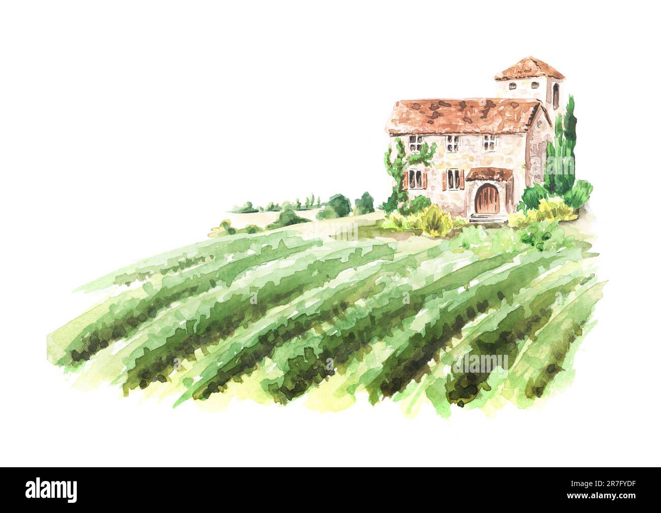 Paysage avec vignoble et château toscan. Illustration aquarelle dessinée à la main isolée sur fond blanc Banque D'Images