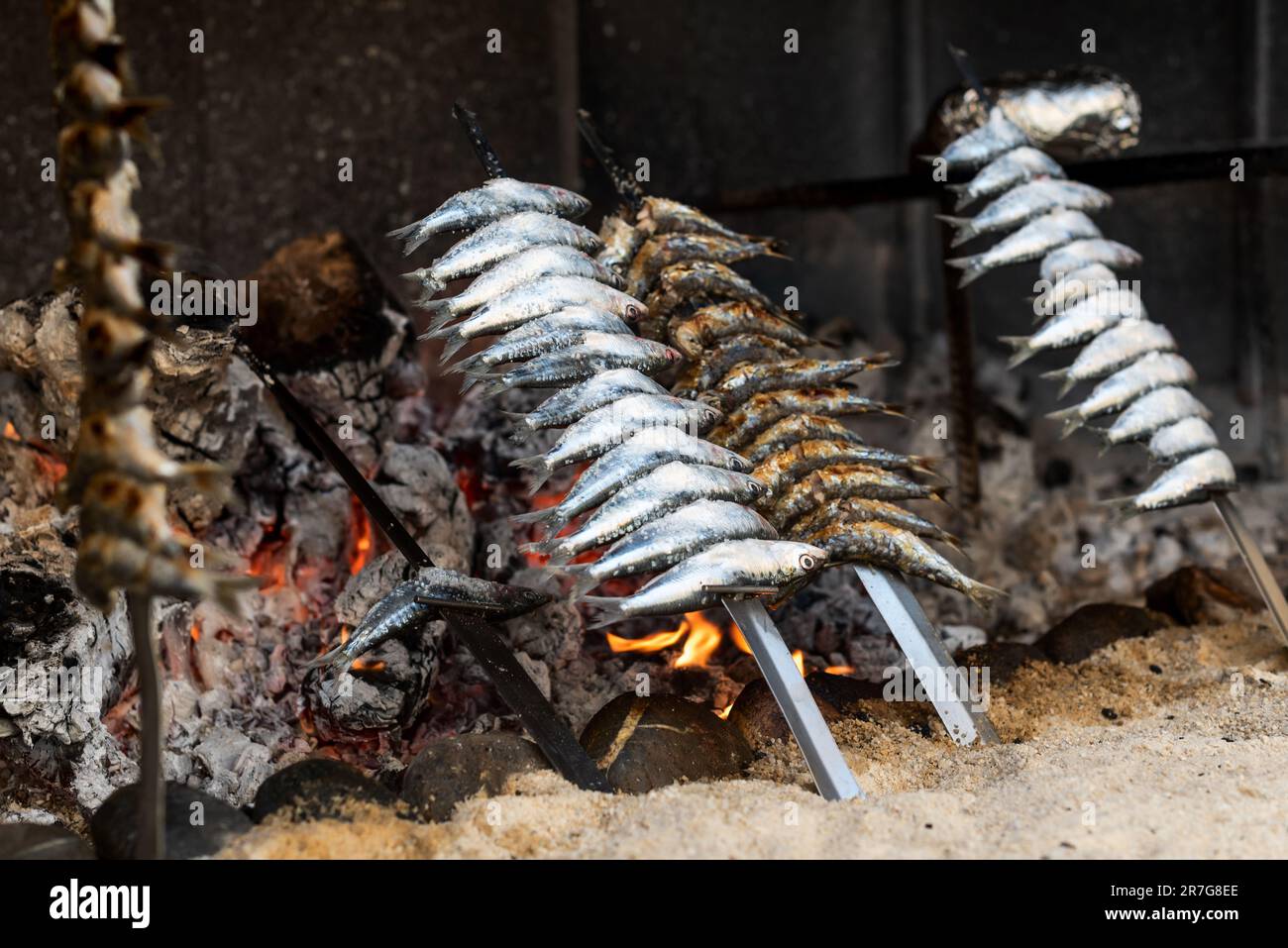 Gros plan de la sardine 'espetos' (sardine brochettes) en cours de cuisson à côté des embers. Cuisine typique de Malaga dans le sud de l'Espagne Banque D'Images