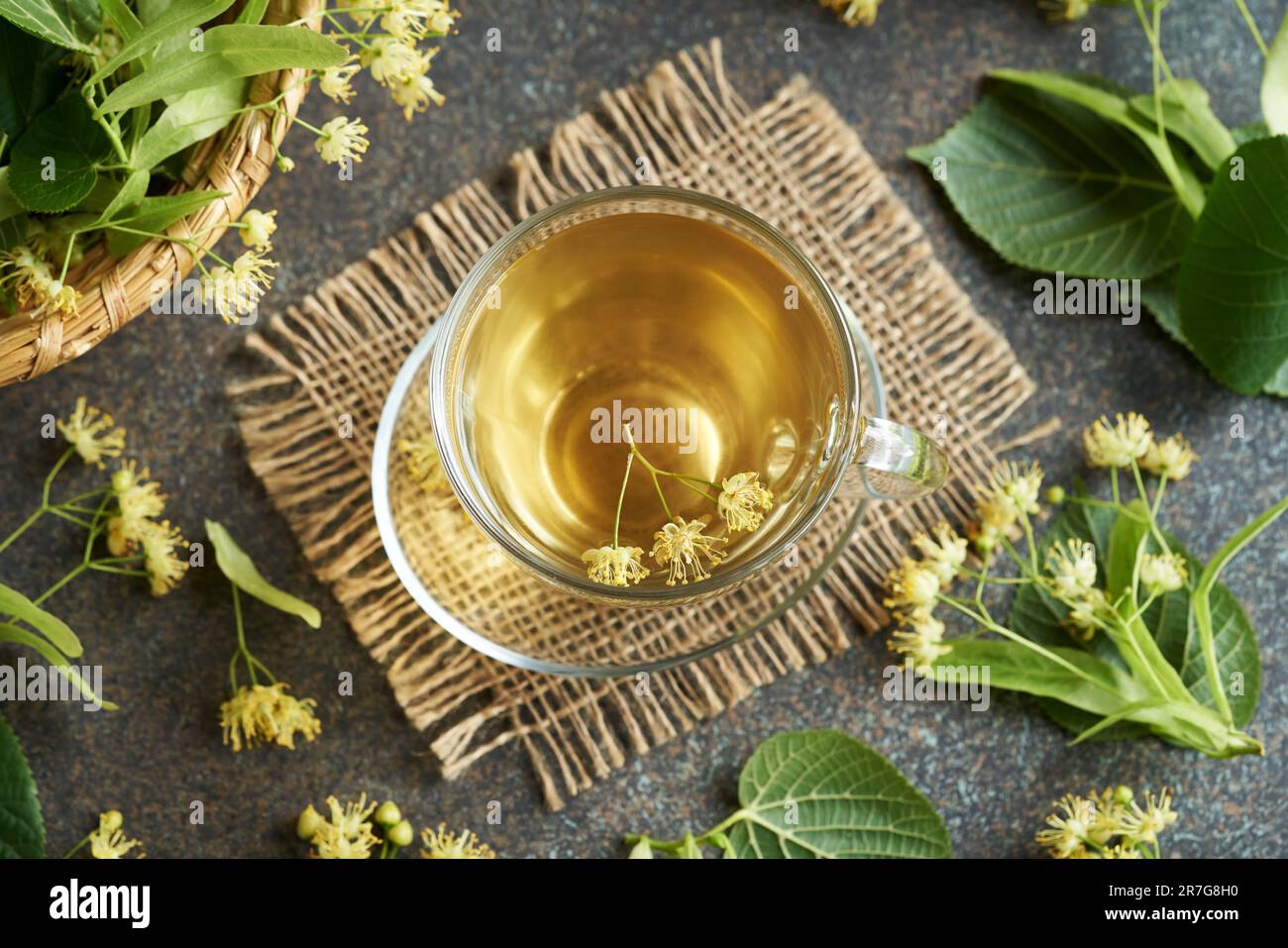 Une tasse de tisane avec du tilleul frais ou des fleurs de tilleul sur une table, vue de dessus Banque D'Images