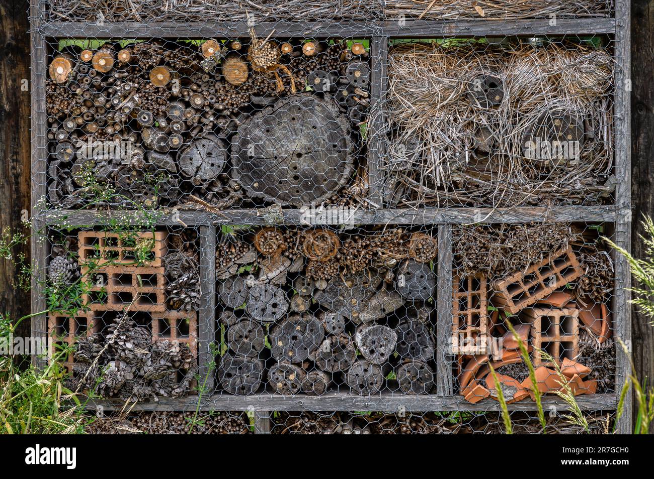 Maison d'insectes dans le jardin. Un hôtel Bug en bois au parc avec des plantes en Suisse au printemps. Banque D'Images