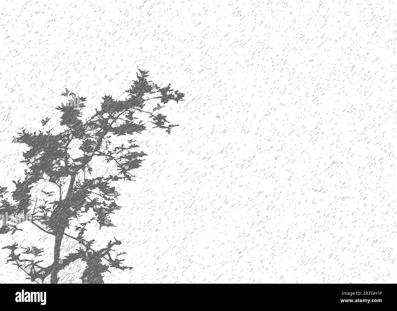 Arrière-plan inspiré de la nature : Paysage d'arbre avec superposition texturée blanche | conception Web et arrière-plan de couverture de livre Banque D'Images