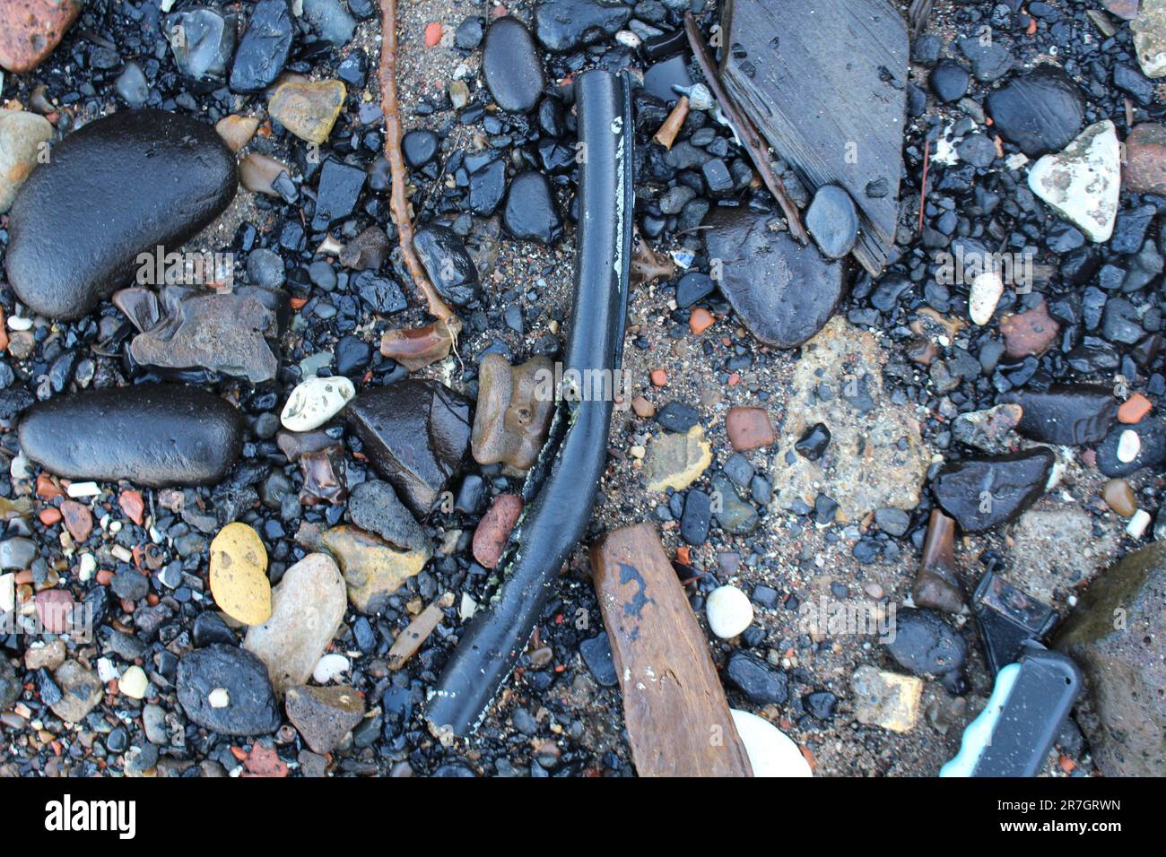 Pollution lavée assure sur la plage - dommages environnementaux à la faune et à son écosystème - à Londres le long de la Tamise Banque D'Images