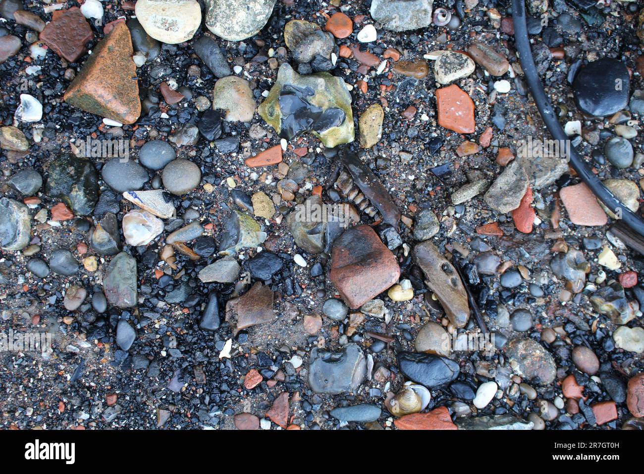 Pollution lavée assure sur la plage - dommages environnementaux à la faune et à son écosystème - à Londres le long de la Tamise Banque D'Images