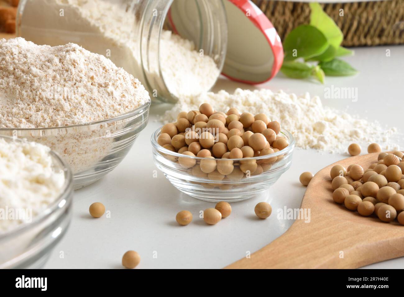 Farine de soja entière et raffinée et graines de soja dans des bols en verre et une cuillère en bois sur une table blanche. Vue de dessus. Banque D'Images
