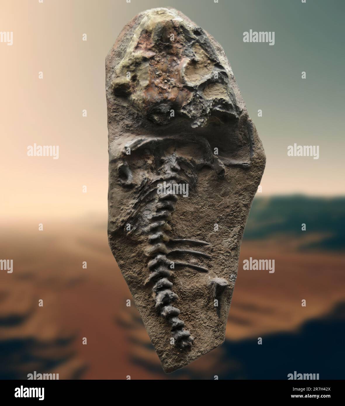 Lanthaniscus est un genre éteint de lanthanosuchoïde ankyramorphe parareptile connu de l'époque Guadalupienne est une espèce rare et en danger de disparition de poisson Banque D'Images