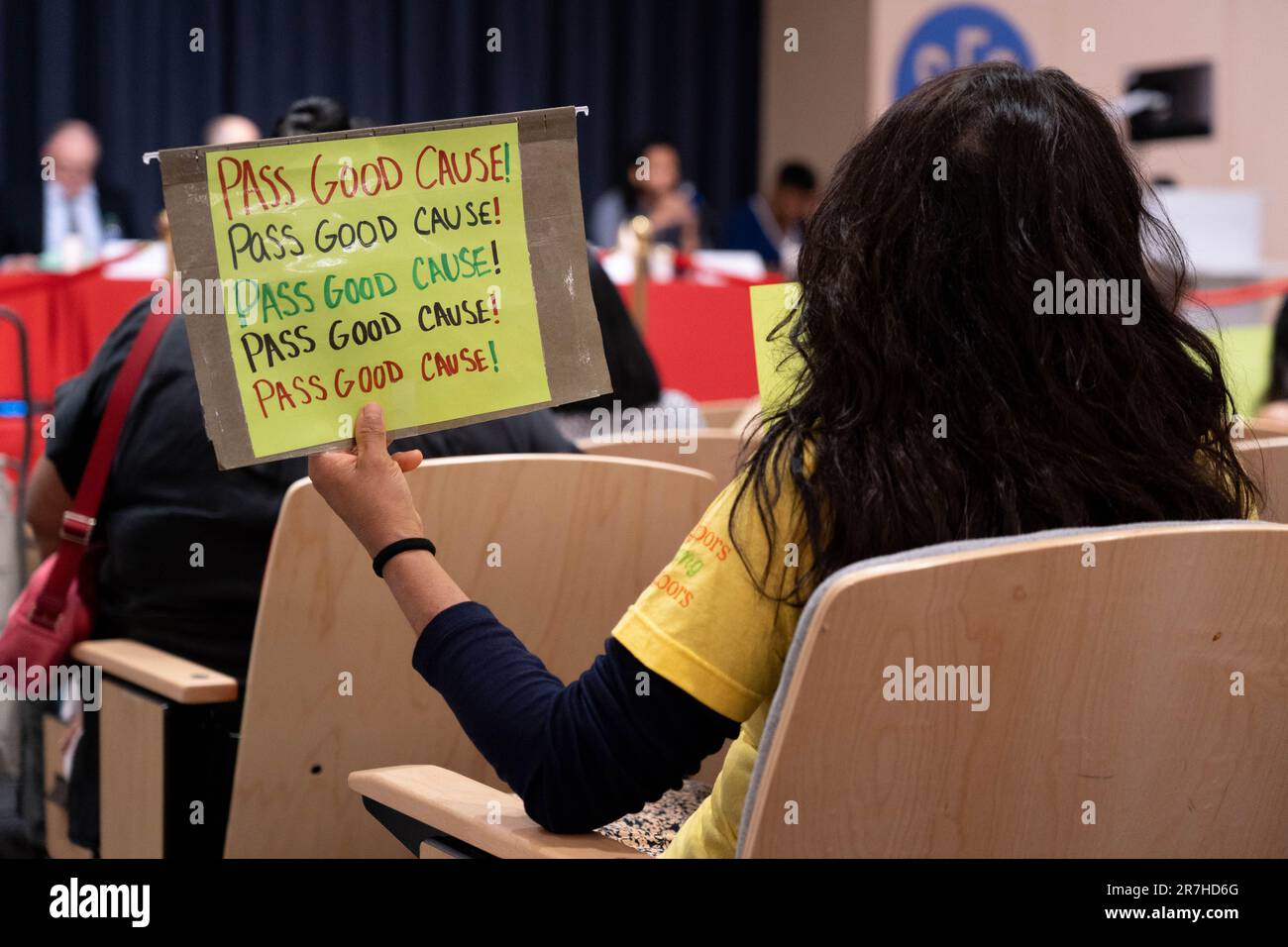 Brooklyn, New York, États-Unis. 15th juin 2023. Les gens se rassemblent en signe de protestation à St. Francis College, le NYC Rent Guidelines Board, tient une audience sur les hausses de loyer. Banque D'Images