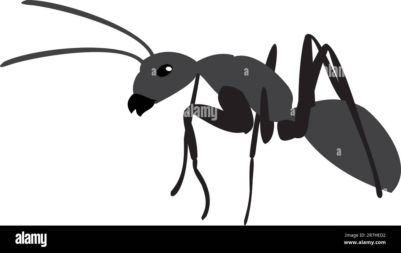 Noir ant. Le grand fourmis. Le grand insecte Illustration de Vecteur