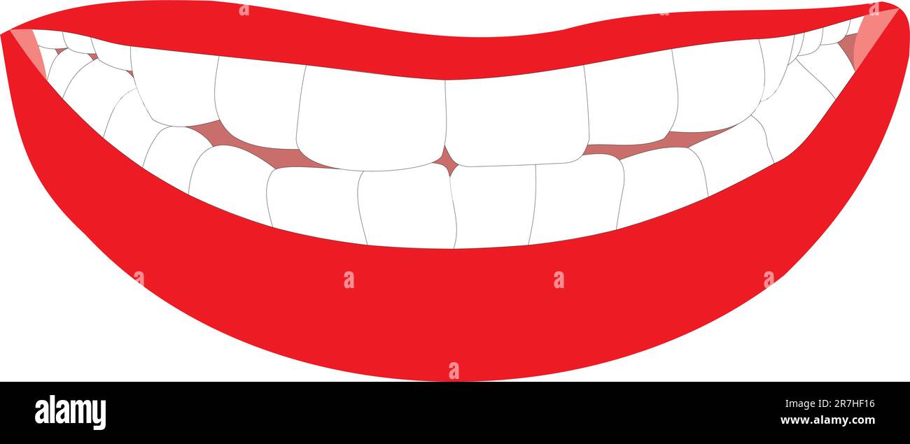 Bouche femelle. Dents égales. Un sourire heureux Illustration de Vecteur