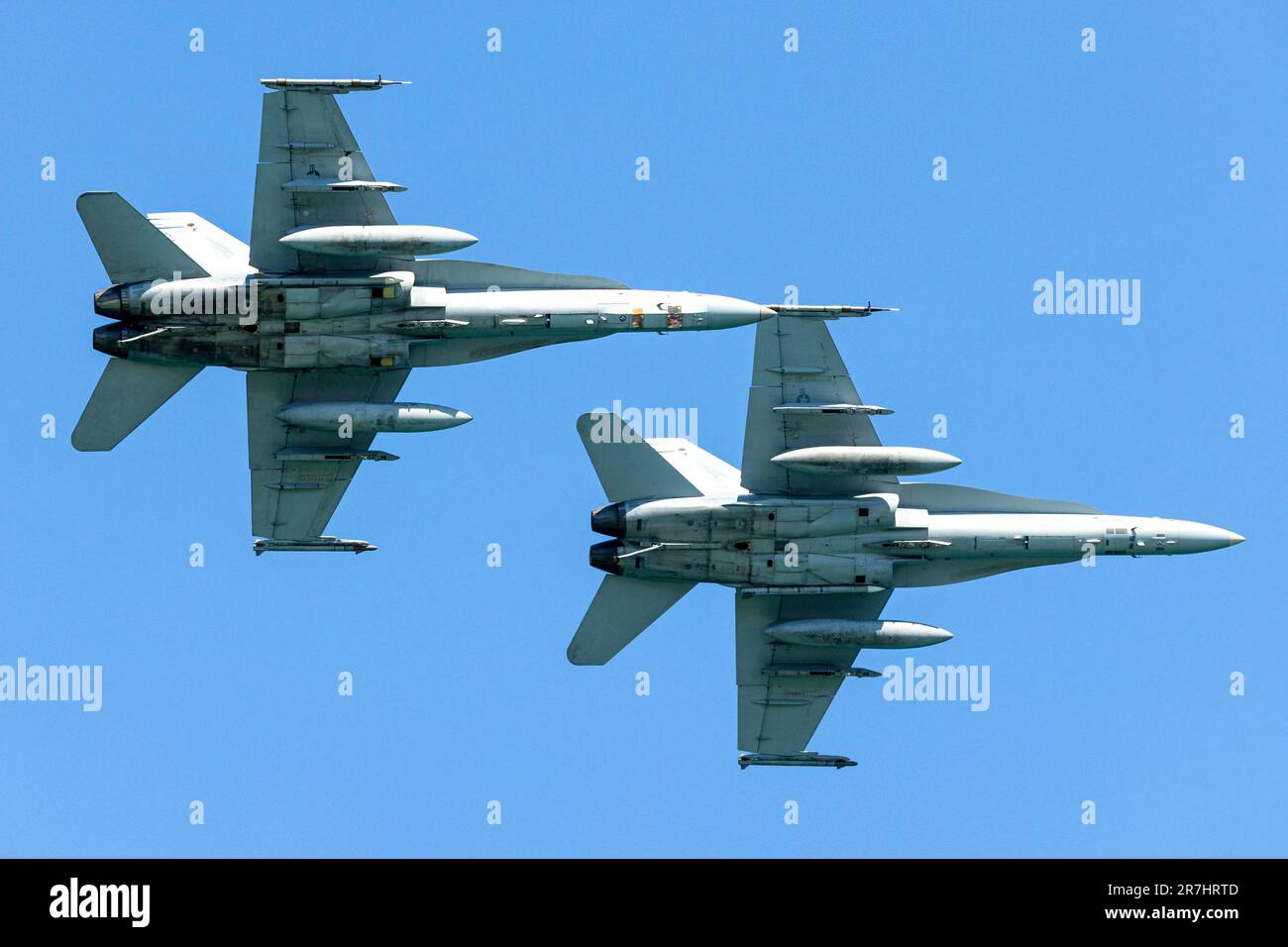 L'incroyable survol de Hornet. Banque D'Images