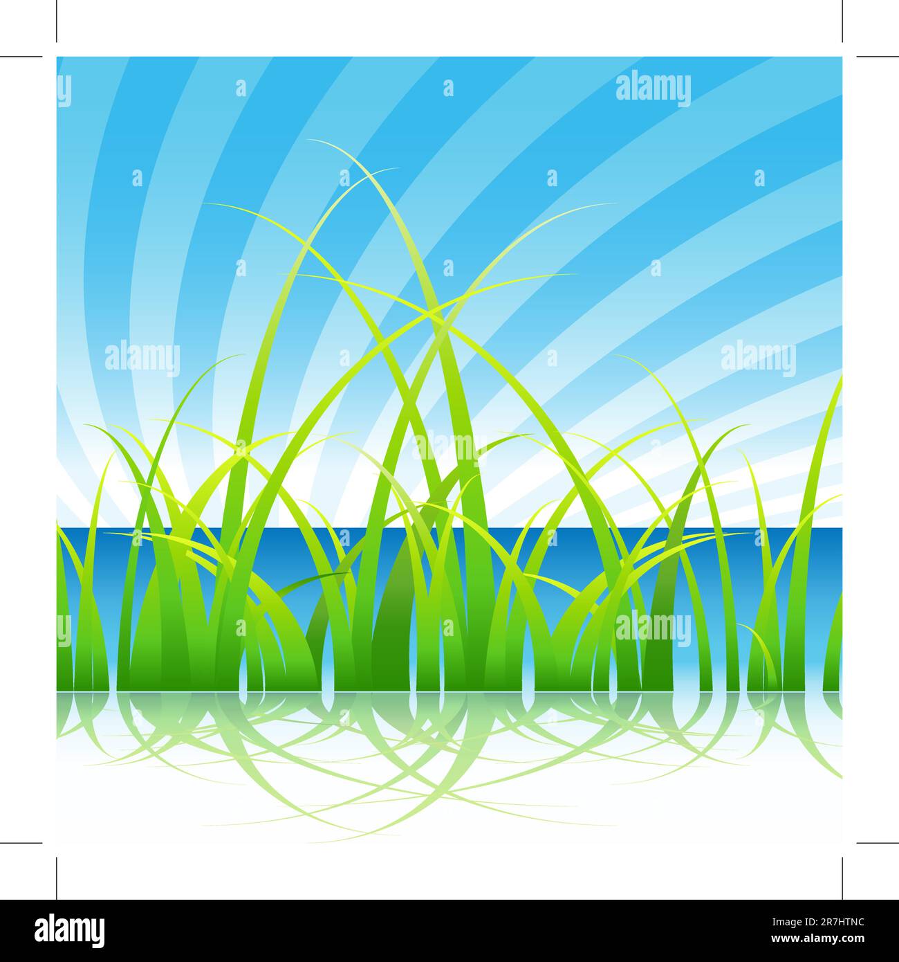 L'image d'un ensemble de brins d'herbe sur fond de ciel bleu. Illustration de Vecteur