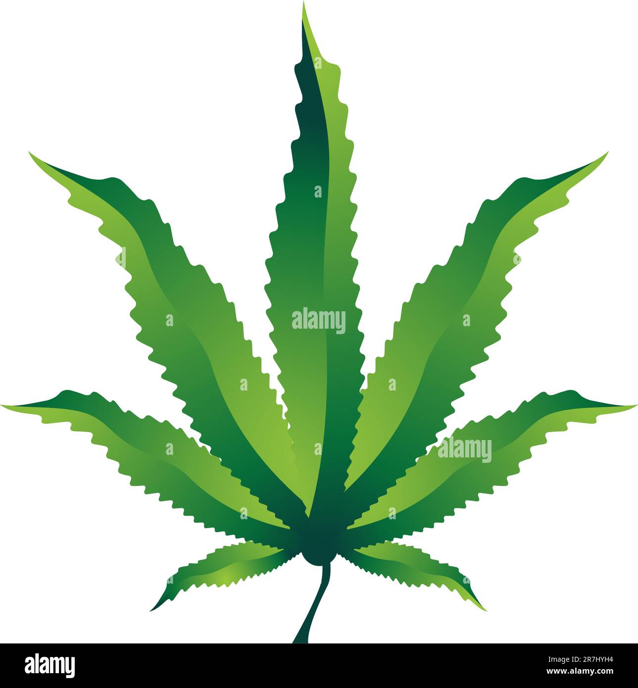 Image d'une feuille de marijuana. Illustration de Vecteur