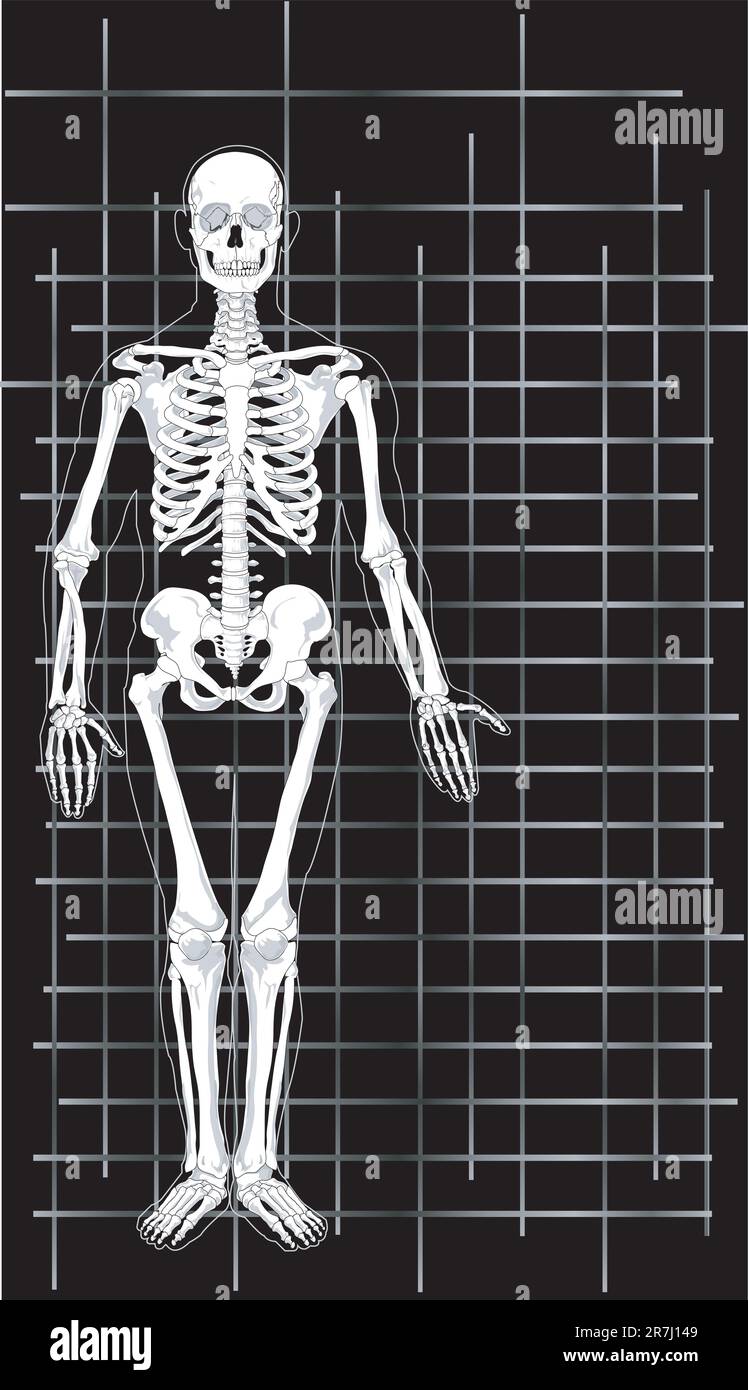 Vector Illustration d'un squelette de carte de visite. Illustration de Vecteur
