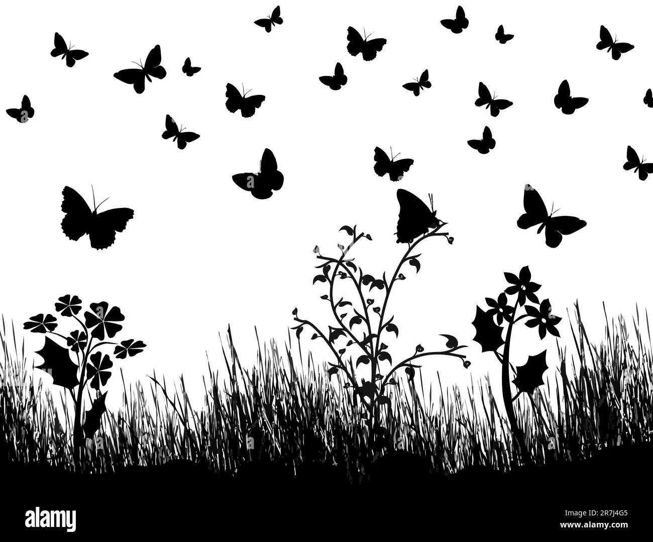 Arrière-plan avec silhouettes de papillons, fleurs et herbe, illustration vectorielle Illustration de Vecteur