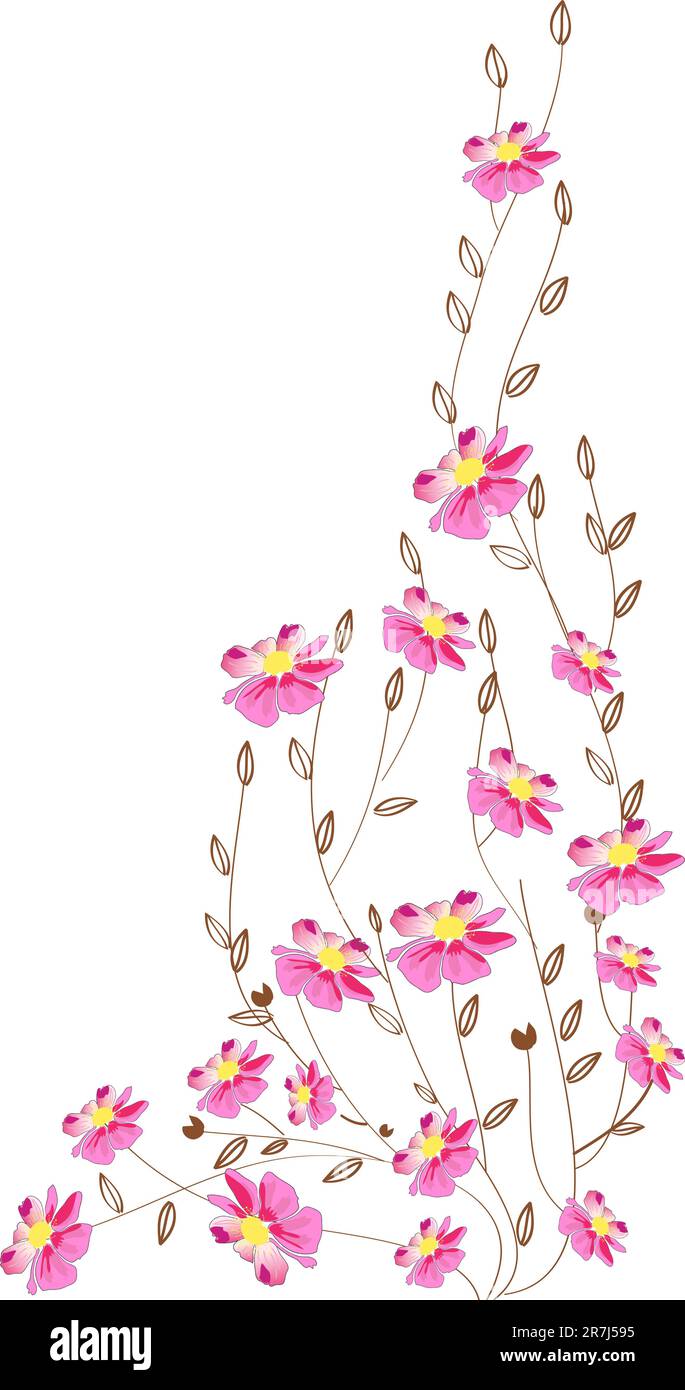 belles fleurs sur fond blanc (illustration vectorielle) Illustration de Vecteur