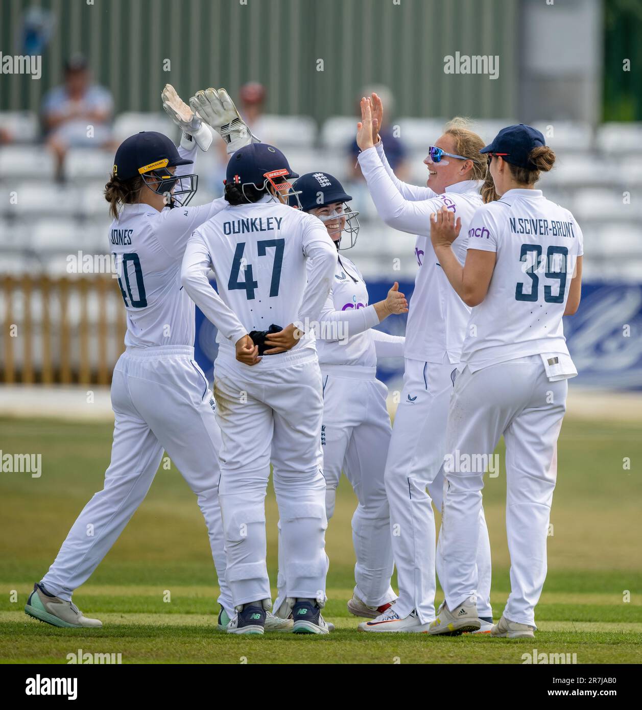 Les joueurs d'Angleterre célèbrent la cricket de Tahlia Wilson en Australie lors d'un match d'échauffement de 3 jours avant le match du Test des femmes. Banque D'Images