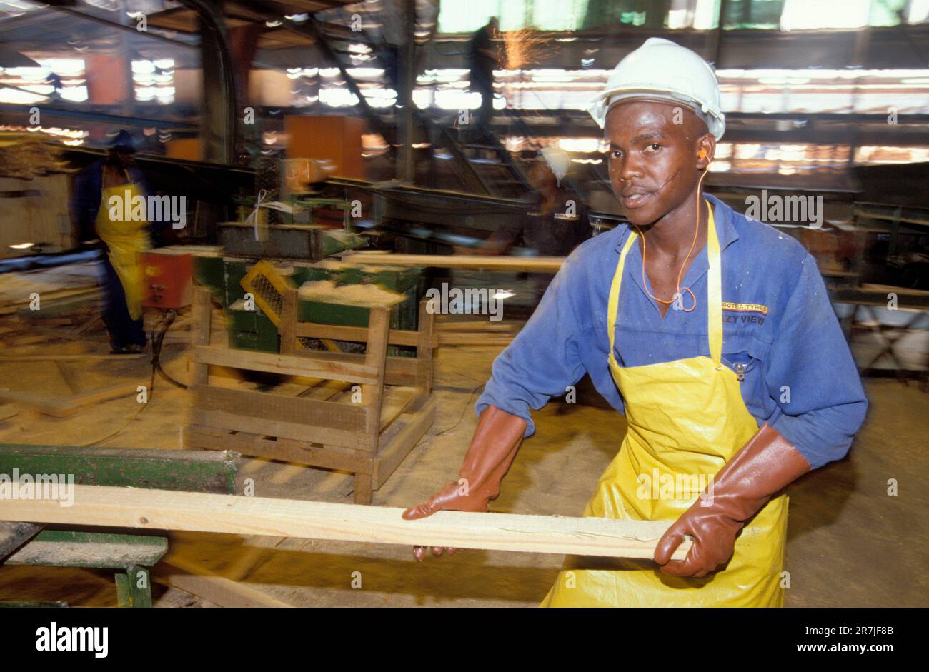 Afrique du Sud, Mpumalanga. Global Forest, employé de l'industrie du bois vient de scier une planche Banque D'Images