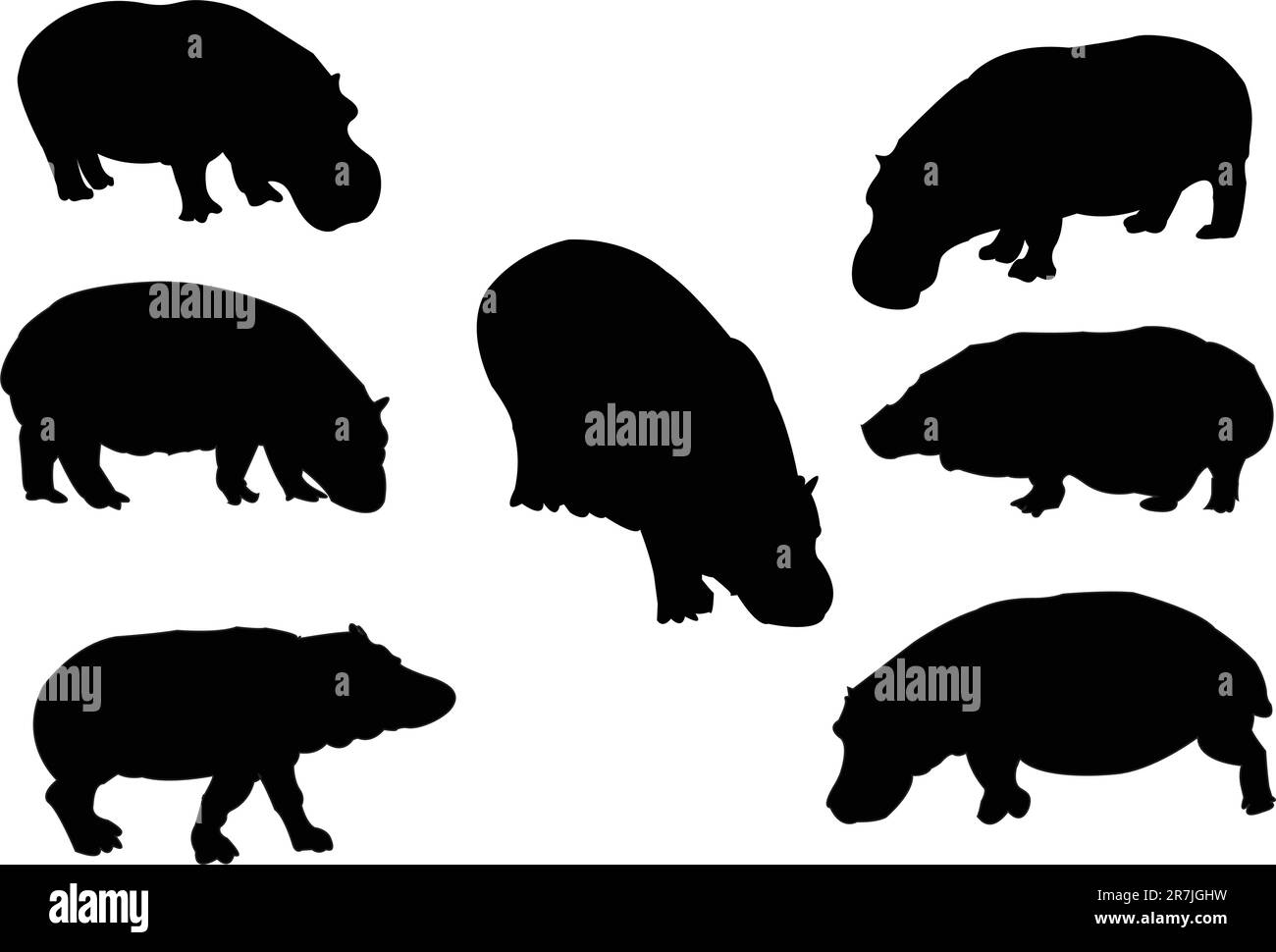 collection hippopotame - vecteur Illustration de Vecteur