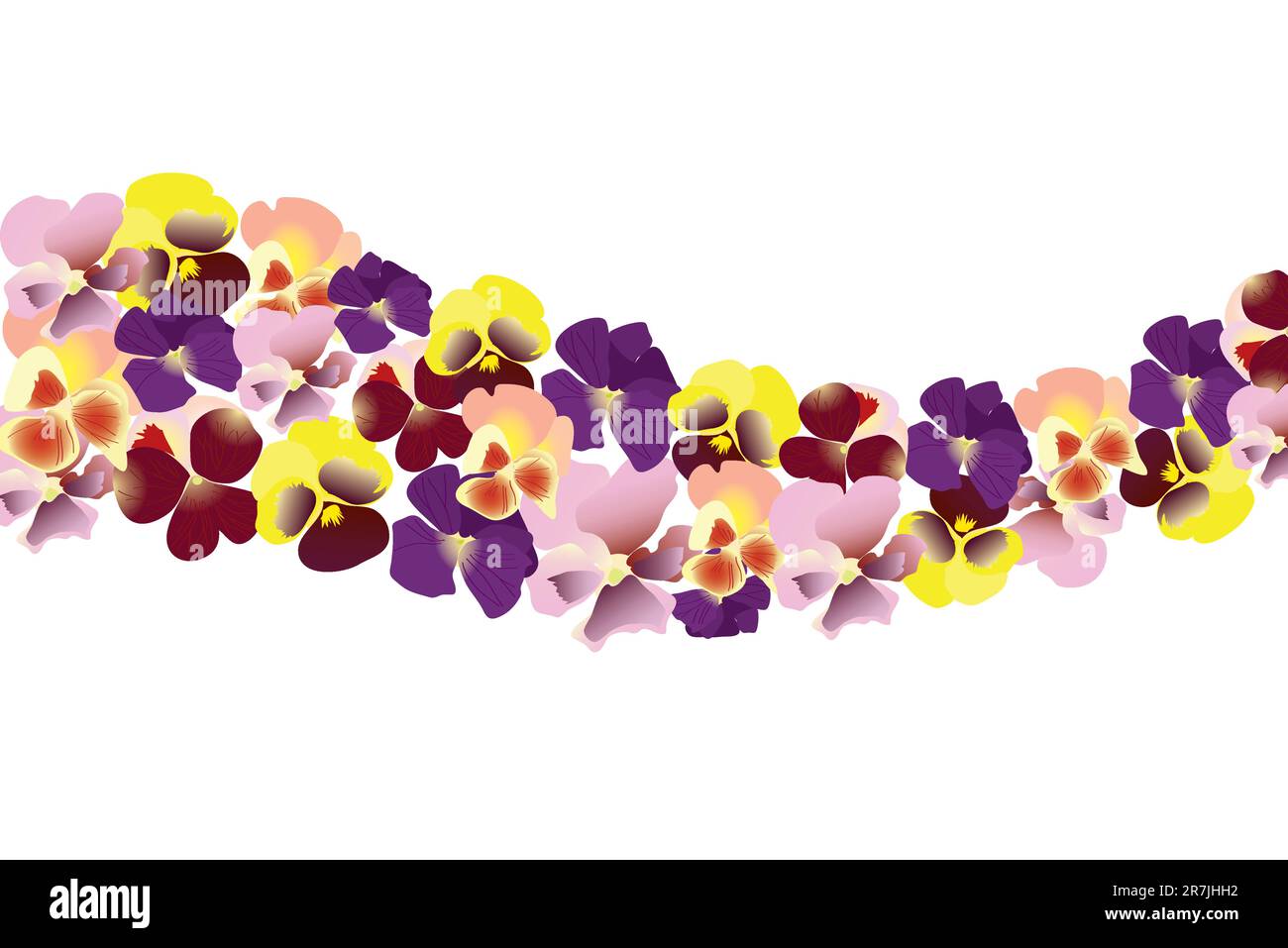 magnifique fleur colorée, pansy lumineuse (gros plan) Illustration de Vecteur