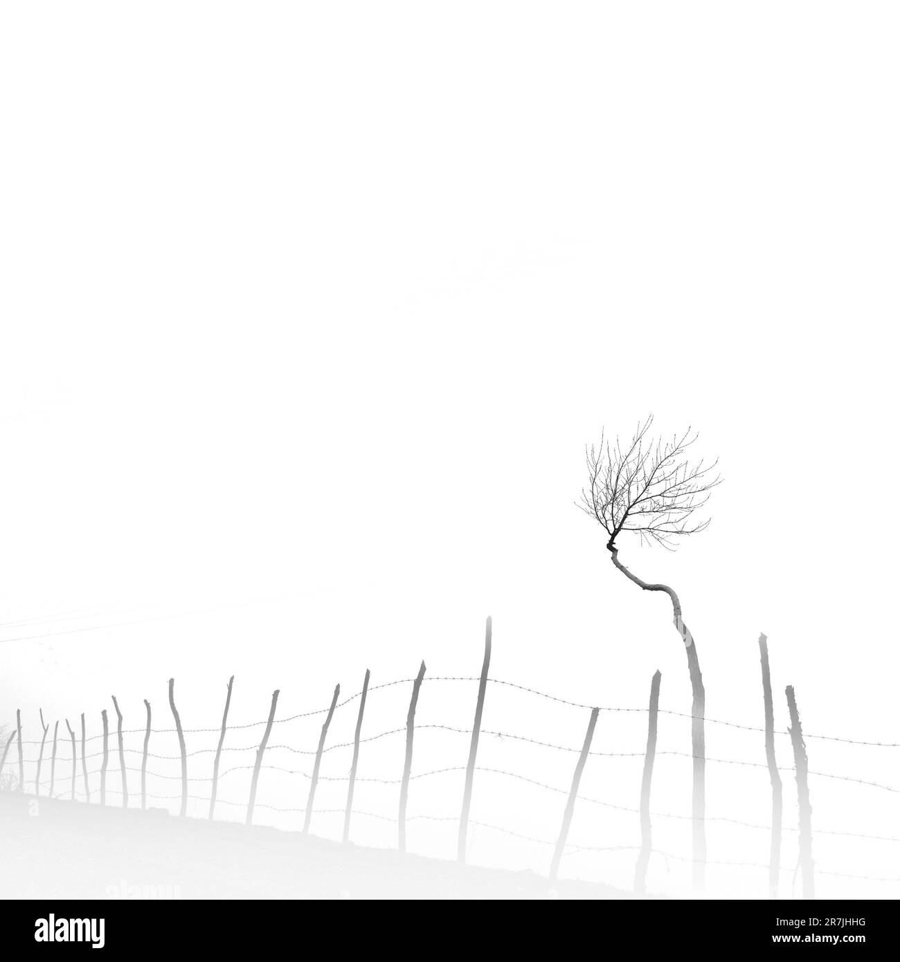 La photographie minimaliste est une esthétique d’omission et de solitude qui exprime l’énigme de notre monde. Banque D'Images