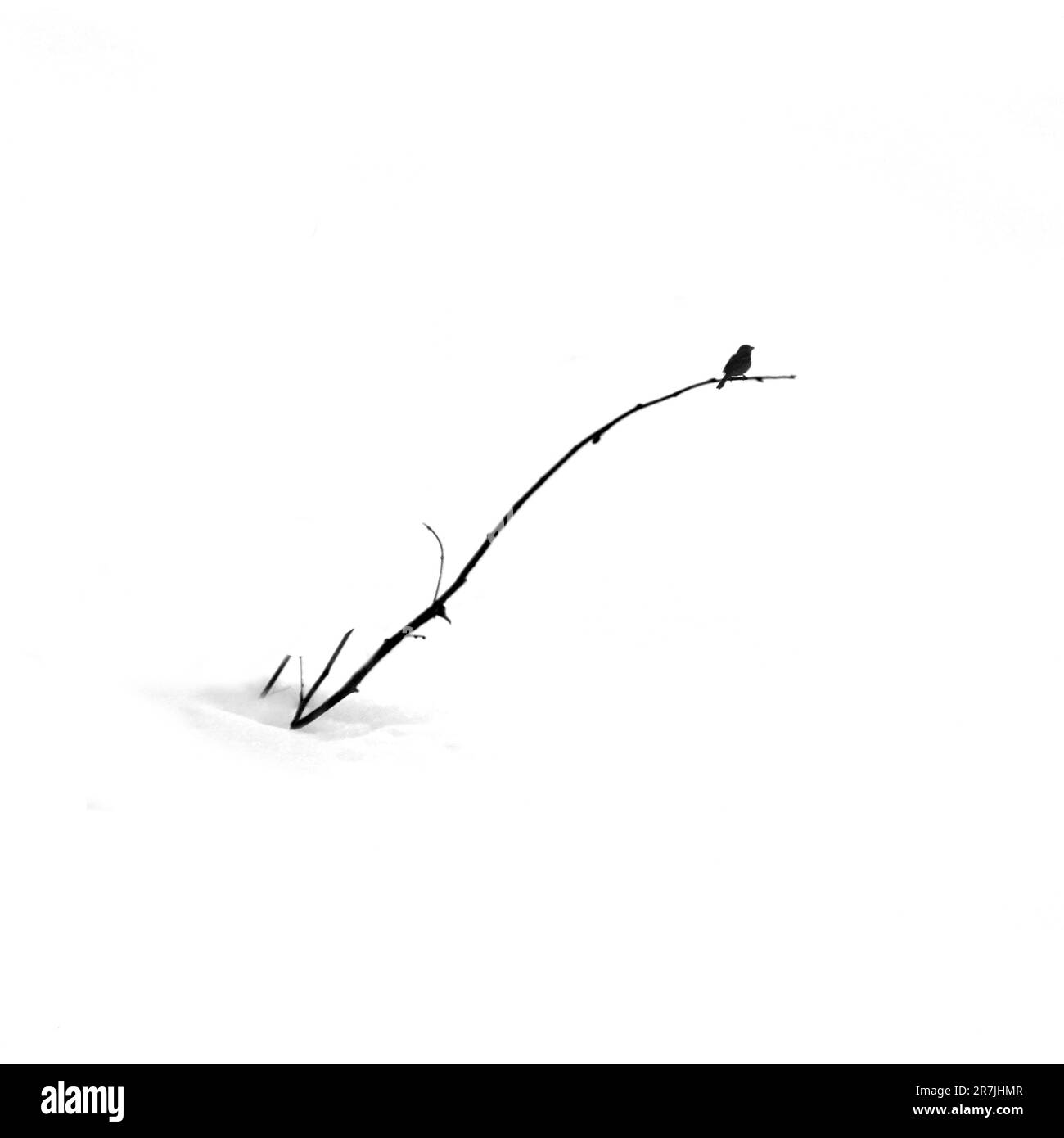 La photographie minimaliste est une esthétique d’omission et de solitude qui exprime l’énigme de notre monde. Banque D'Images