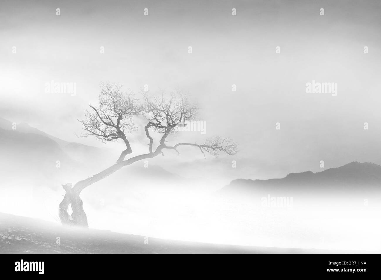 La photographie minimaliste est une esthétique d’omission et de solitude qui exprime l’énigme de notre monde. Banque D'Images