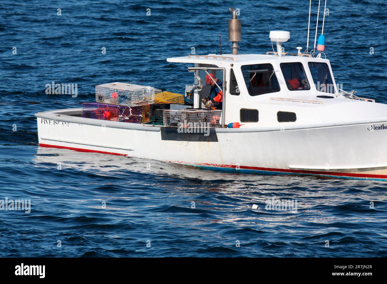 Projet Puffin Eastern Egg Rock Island, Maine Banque D'Images