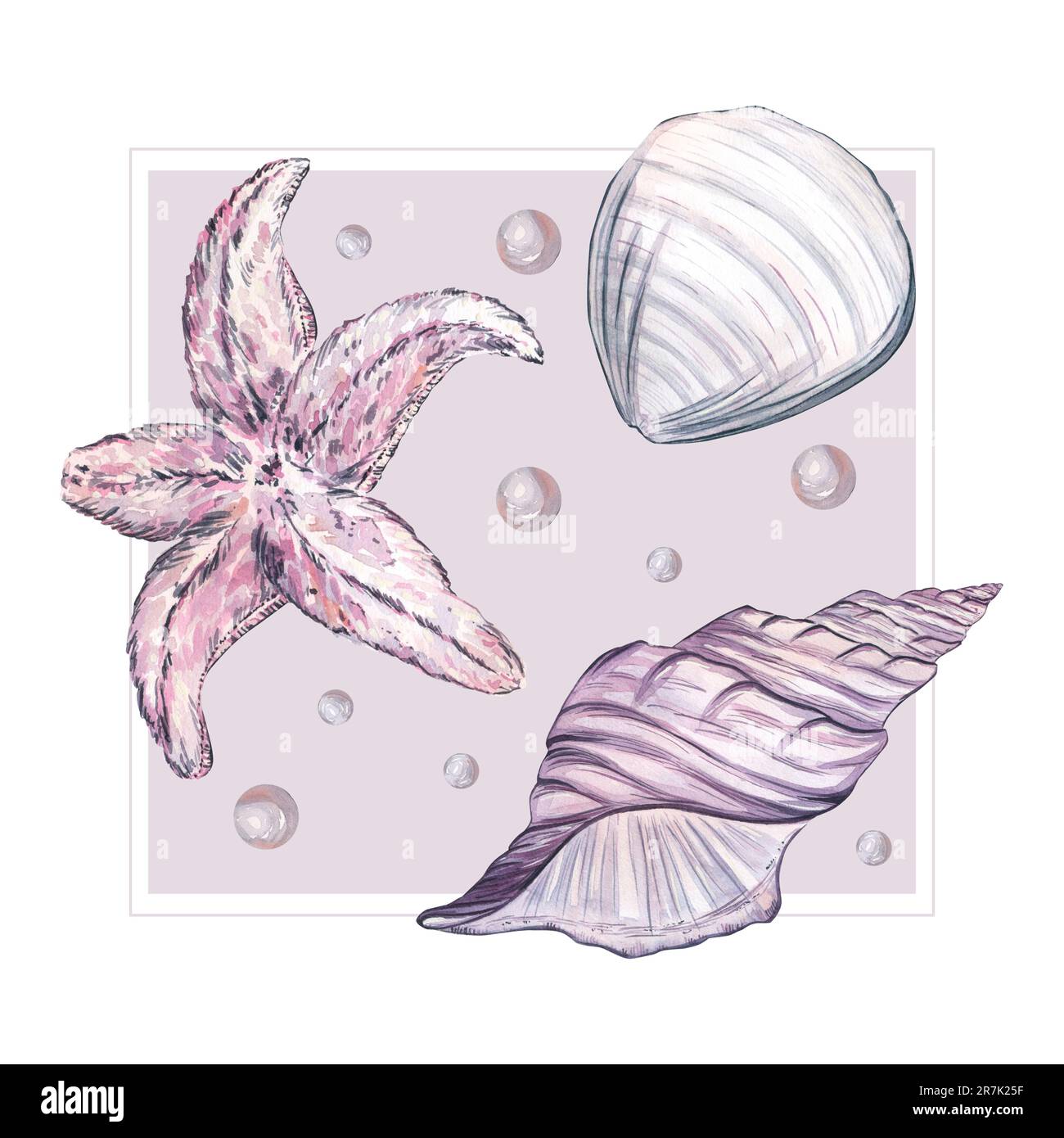 La composition est dans un carré gris avec des coquillages, une étoile de mer et des perles de couleur rose et lilas. Illustration aquarelle, isoler sur un blanc Banque D'Images