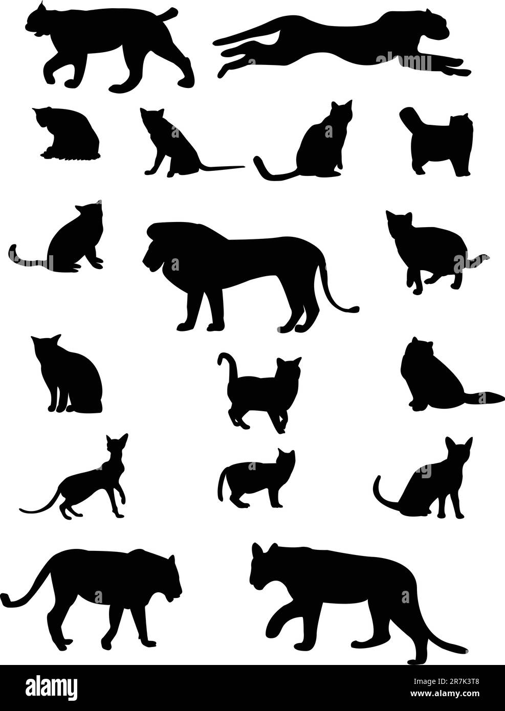 collection de silhouette de famille de chats - vecteur Illustration de Vecteur