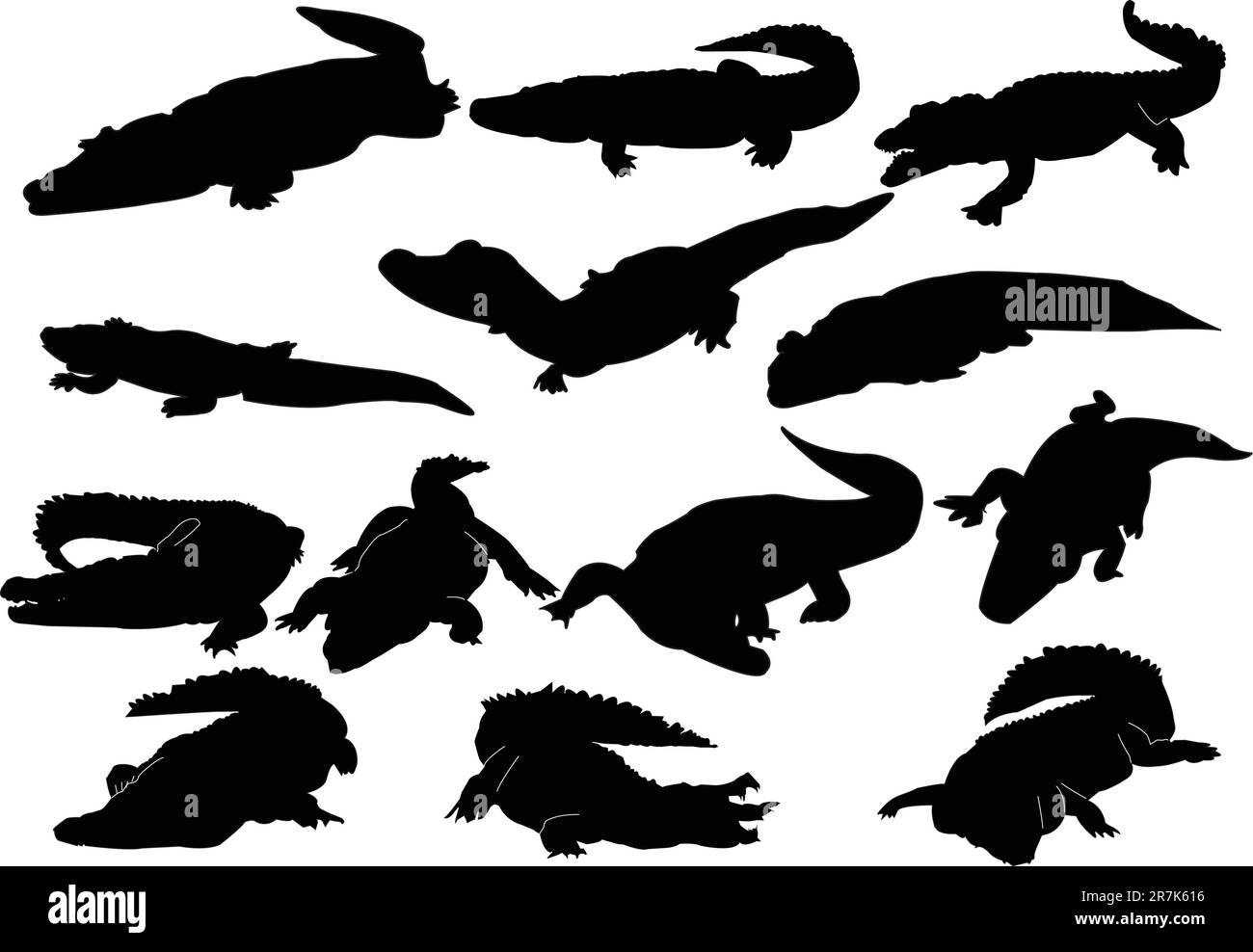 collection de crocodiles - vecteur Illustration de Vecteur