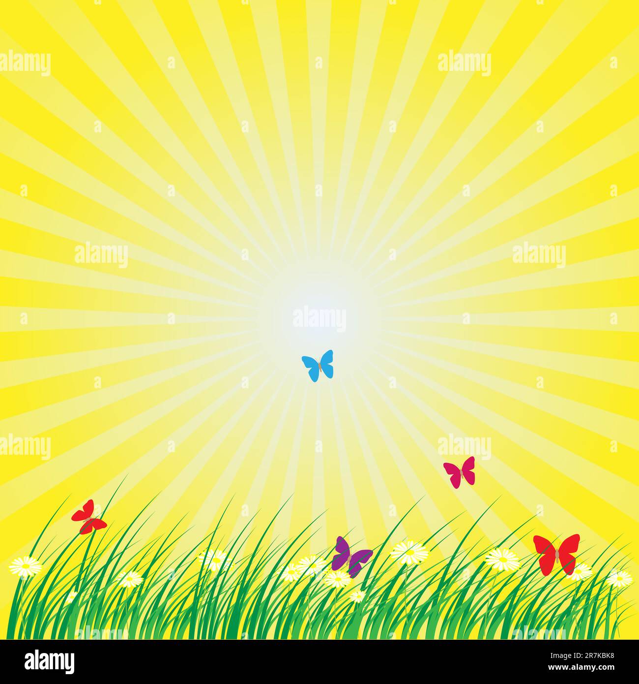 Été - printemps Nature Contexte : L'herbe, papillons, fleurs marguerites sur fond jaune Illustration de Vecteur