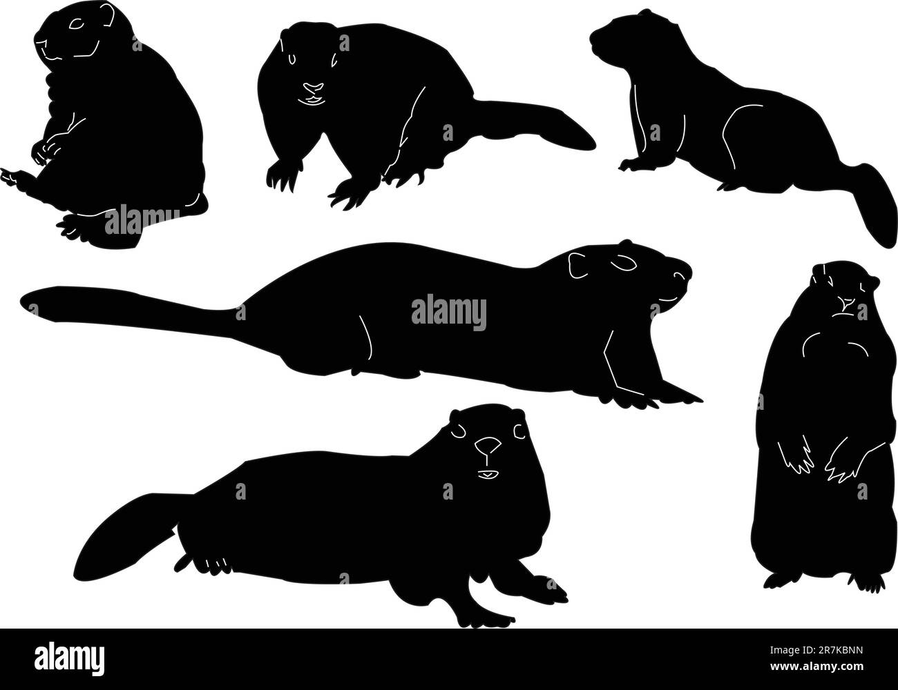 collection marmot - vecteur Illustration de Vecteur