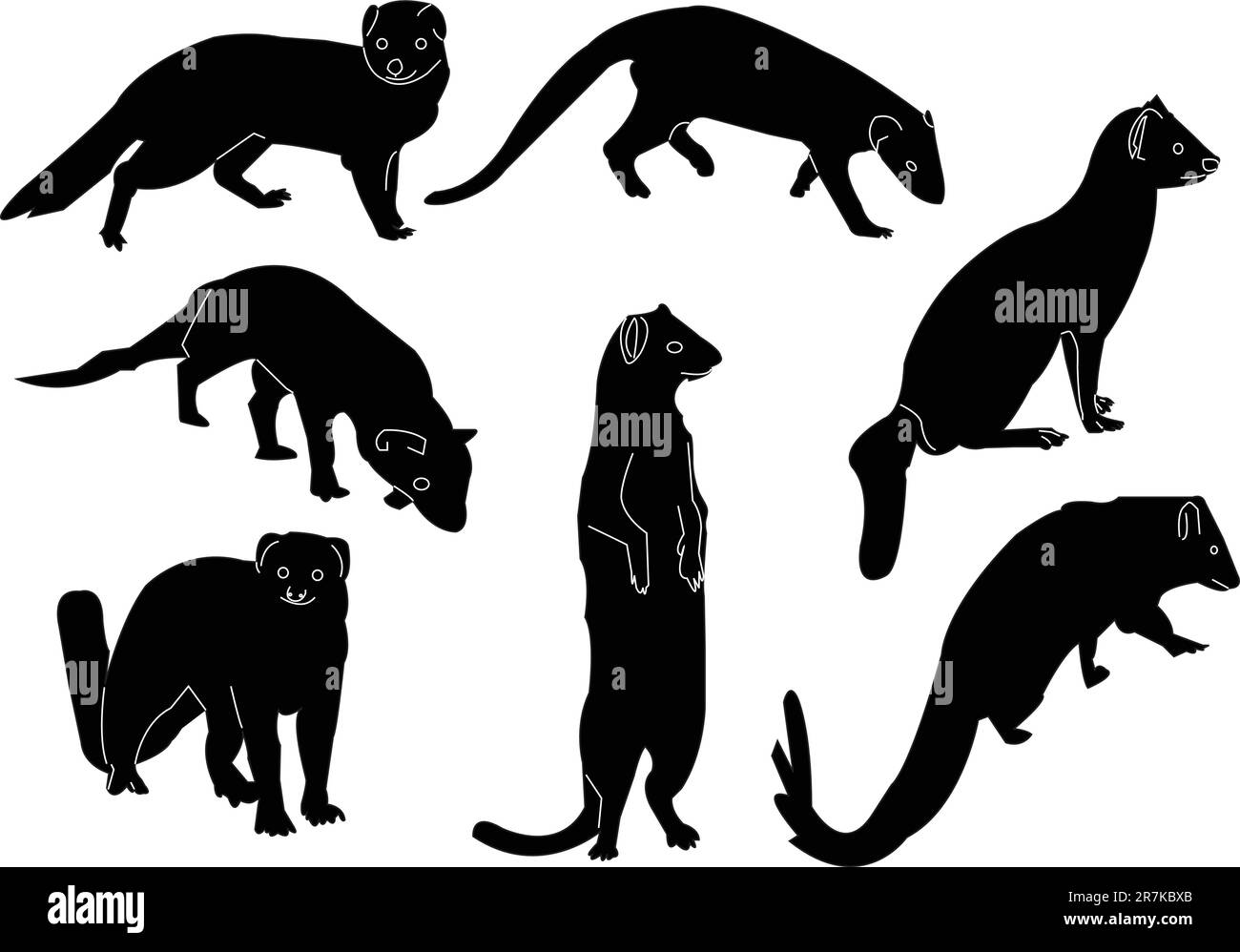illustration de la collection mongoose - vecteur Illustration de Vecteur
