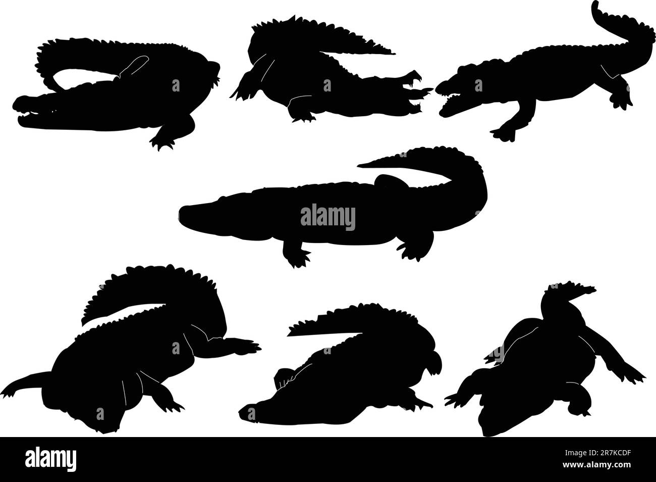 collection de crocodiles - vecteur Illustration de Vecteur