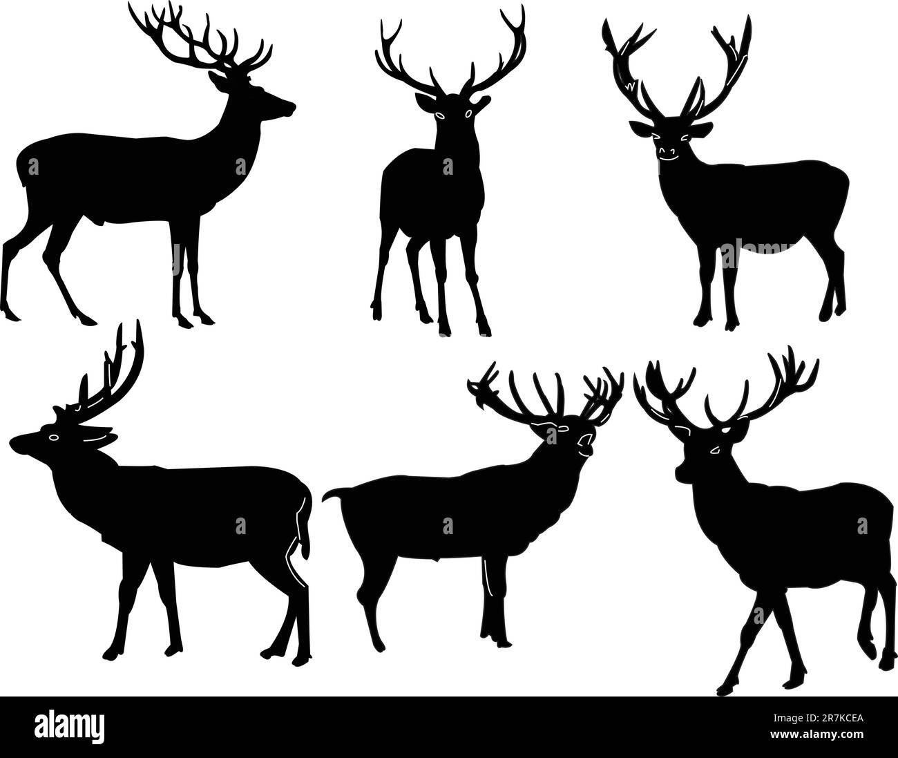 collection deer - vecteur Illustration de Vecteur