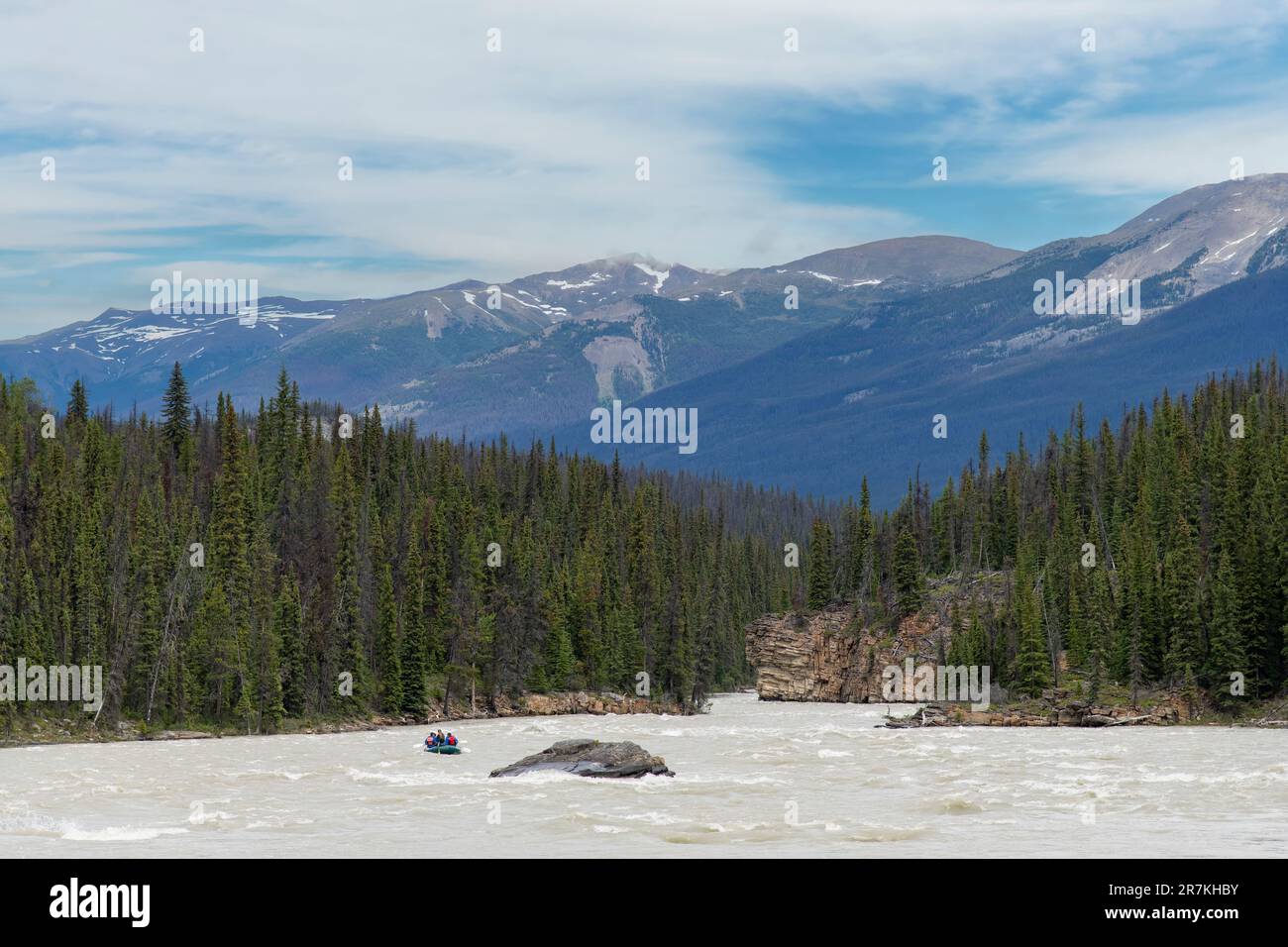Castorland Athabasca River Jasper Nat.Park Ca Puzzl