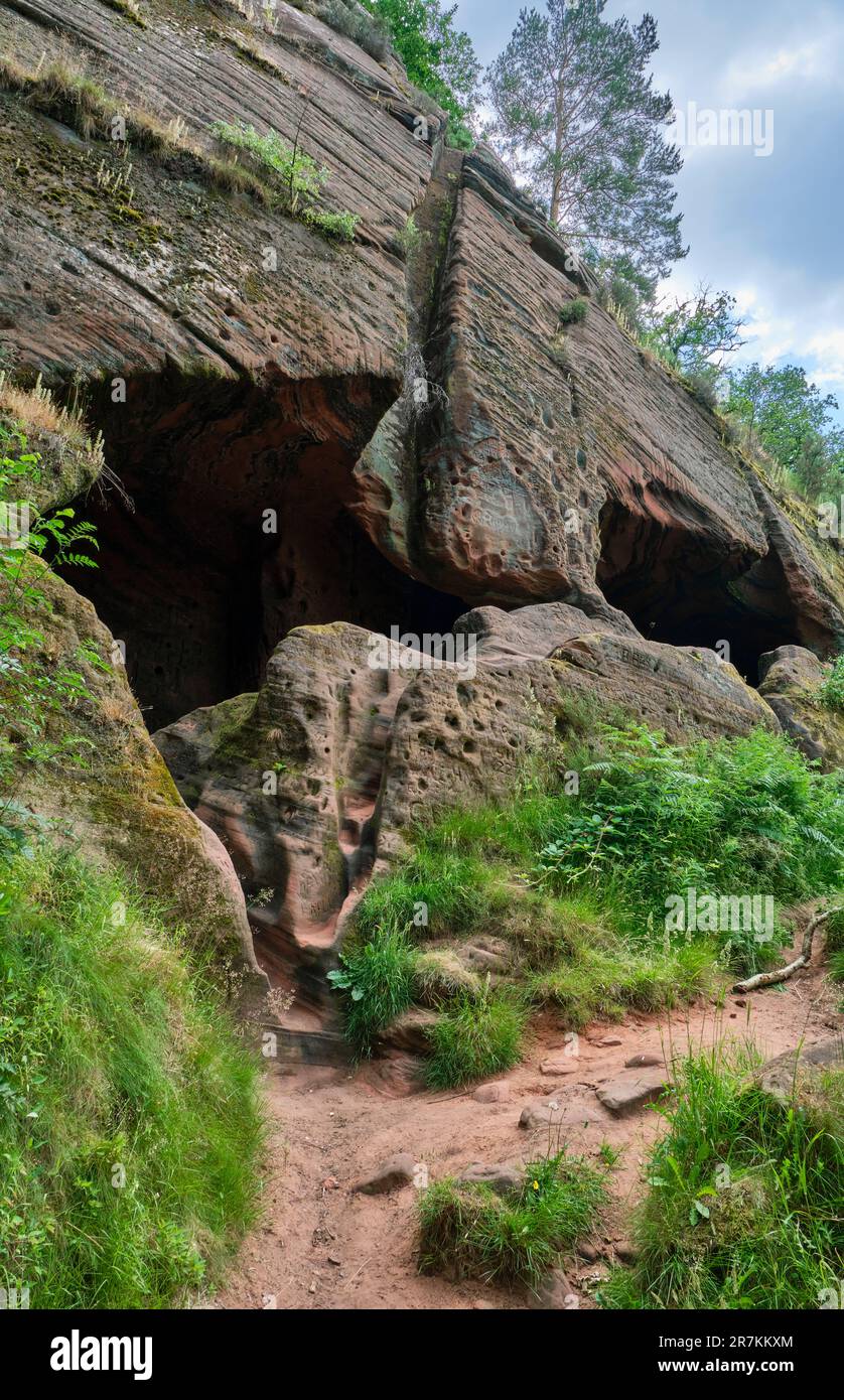 Grottes de Nanny's Rock, Kinver Edge, Kinver, Staffordshire Banque D'Images