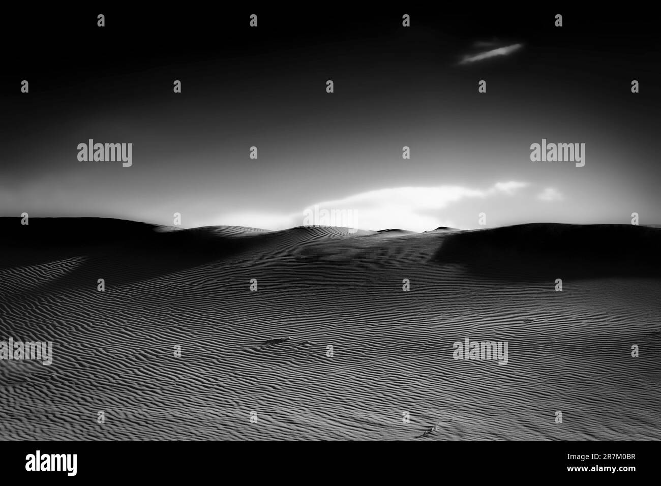 Soirée dans une dune de sable, avec ses ombres, près de Horizon City juste à l'est d'El Paso, Texas. Banque D'Images