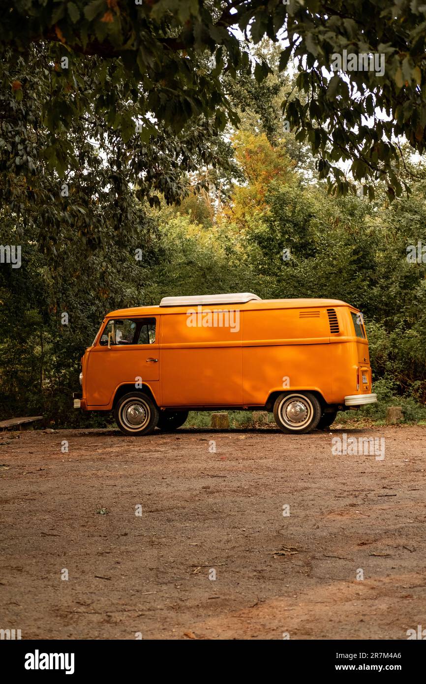 Un bus Volkswagen classique se trouve dans un cadre paisible en plein air, garé sous un arbre ombragé et entouré d'une végétation luxuriante Banque D'Images