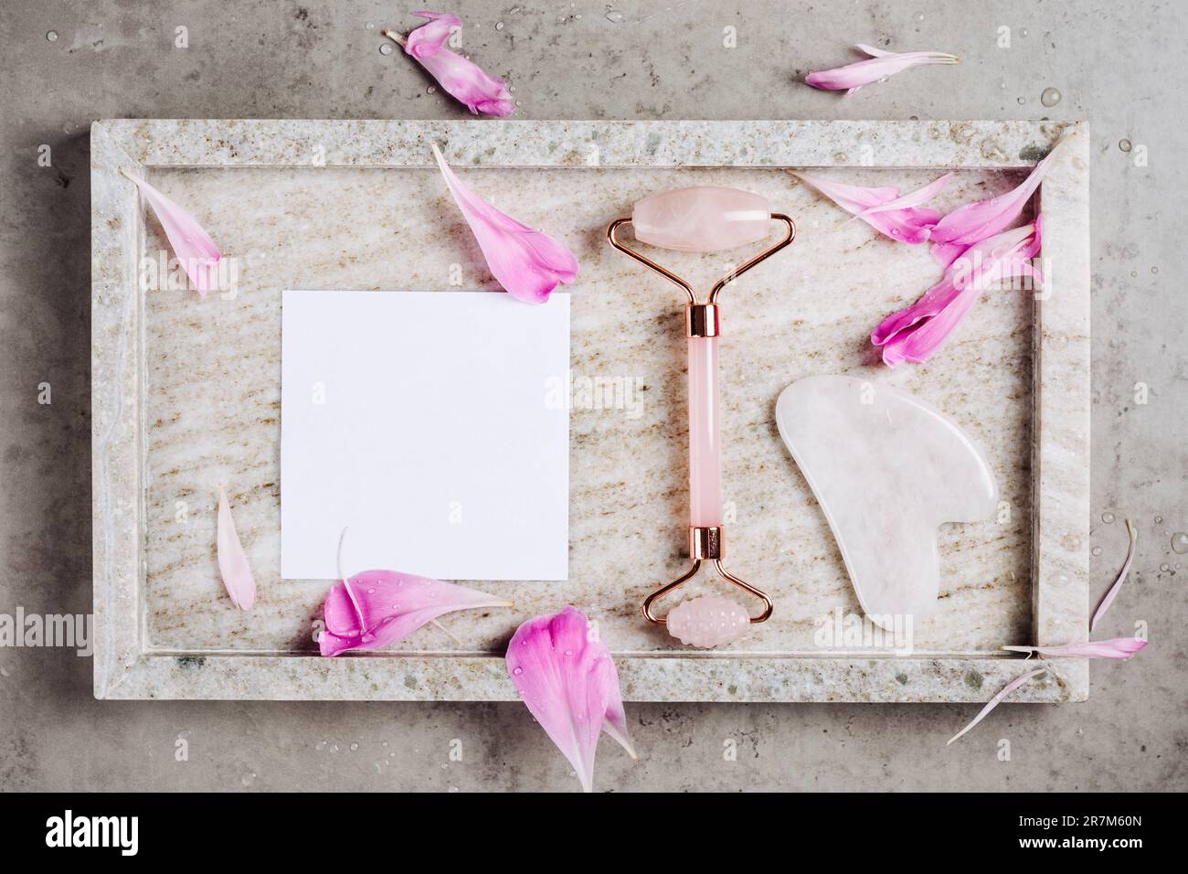 Rouleau de quartz rose et de gua sha sur fond de marbre avec pétales de fleur. Concept spa, soin du visage. Banque D'Images